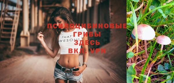 ALPHA-PVP Гусев