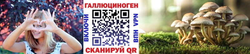 купить наркотик  Дмитровск  Галлюциногенные грибы прущие грибы 